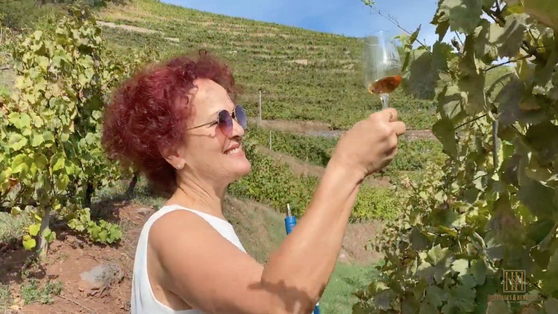 vinhedos Quinta grande_v5