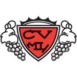 HH-CVM