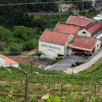 Henrique & Henriques - vinhos -Cellar-Quinta-Grande