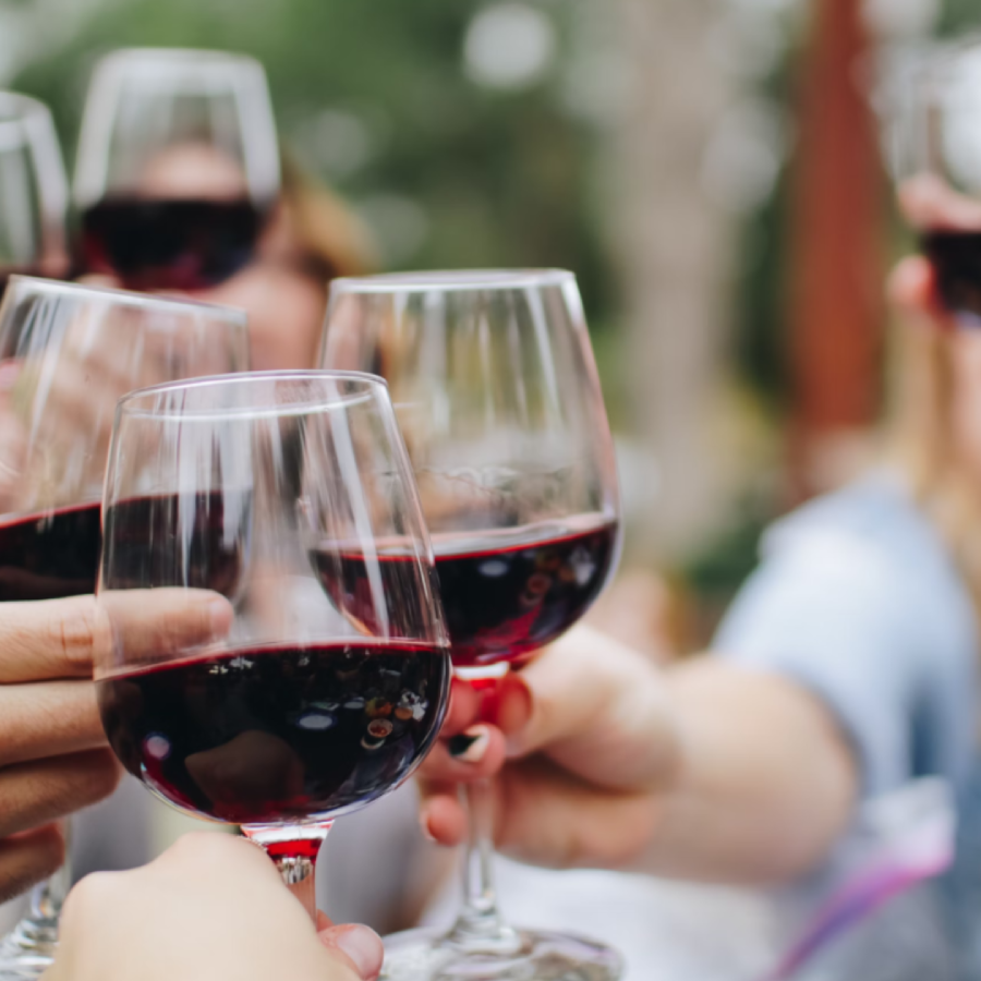 Excellent wines to enjoy